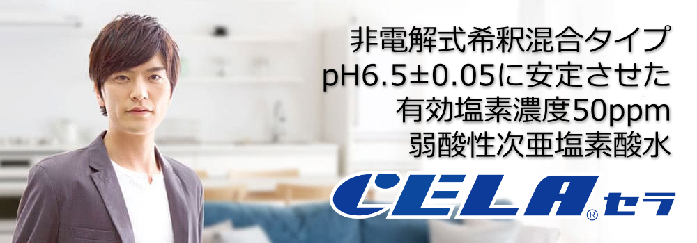 �������������_���̑I�ѕ�