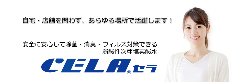 �l�X�Ȏg�p���@